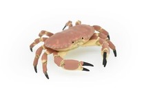 Dungeness Crab Toy, Realistic Rubber Replica, Hand Painted Model    3