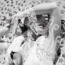 Björk Vespertine (Vinyl) 12