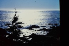 1978 Ektachrome 35mm Slide, Cambria California Coast, Pine Tree Kodak Ocean picture