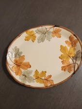 Vintage Franciscan Autumn Earthenware Oval Serving Platter Fall Leaf USA Harvest picture