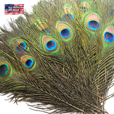 Piokio 30 Pcs Peacock Feathers in Bulk 10-12 Inch(25-30 Cm) Bulk for DIY, Craft picture