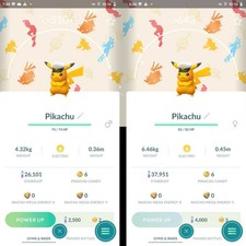 Pokémon Shiny Pikachu Captain cap Celebration 2026 Background - Read description picture