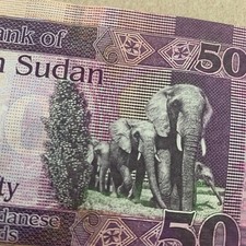 Elephant Family South Sudan 50 Pound Banknote 2019 Sudanese Currency Paper Money picture