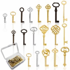 Universal Skeleton Keys Replacement, 19Pcs Hollow Barrel Skeleton Key Set for... picture