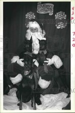 1988 Press Photo 3 Dobermans pose with Santa Paws at Chateau Veterinary Hospital picture