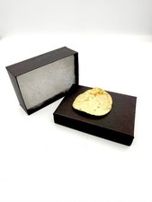 Rare Potato Chip that resembles the late Seychelles turtle Larry picture