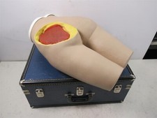 Nasco Life Form Female Intramuscular Injection Simulator LF961UA Nursing Trainer picture
