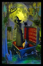 Witch Using Vampire Coffin as A Boat Crossing the Swamp with Black Cat & Vulture picture