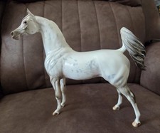 Snow Prince 2016 OOAK Glossy Appaloosa Arabian picture
