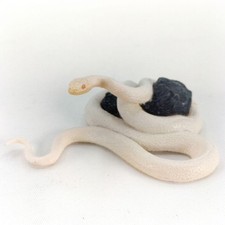 Kaiyodo Natural Monument Iwakuni Animal Figure Collectible Used picture
