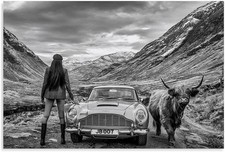 David Yarrow Photography Poster, Black White Art, Bedroom Office Decor 24x36 picture
