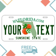 PERSONALIZED Florida License Plate  picture