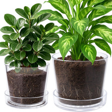 Clear Acrylic Planter Pot with Tray - 8