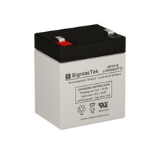 Raion Power RG1250T1 12 Volt 5 Amp Hour Replacement Battery picture
