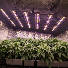 BA5000W Spider w/LM281B LED Grow Lights 6Bar Full Spectrum 2.9Umol/j Hydroponics picture