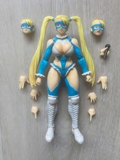 S.H. Figuarts Rainbow Mika (R. Mika) Street Fighter V Bandai tamashi nations picture