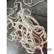 5/10 Complete Snake Bone Skeleton Specimen Whole 40‑50cm Animal Bone Gift picture