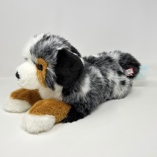 Douglas Cuddle Maizie DLux Australian Shepherd 18.5