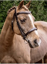 Beautiful Henry James Brown Bridle picture