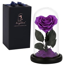 AINYROSE Forever Preserved Real Heart Rose Birthday Gifts for Women,Valentine... picture