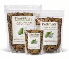 Dried Soursop Leaves - Natural Graviola Soursop Tea Leaves, Hojas de Guanabana picture