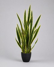 4’ Sansevieria Snake Artificial Plant UV Indoor/Outdoor Home Decor. Retail $204 picture