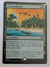 Terrasymbiosis Edge of Eternities - MTG RARE picture