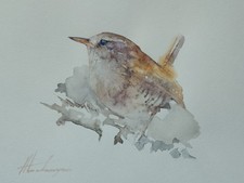 Wren,  Birds, Watercolor artwork, Handmade, Original painting on paper picture