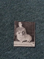 Sk242 Ephemera 1970 picture mrs W Lepper Wye  picture