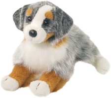 Douglas Cuddle Sinclair Australian Shepherd 16