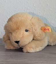 Steiff Lumpi Golden Retriever 2009 Puppy Dog Plush ID Button Tag 9in Vtg picture