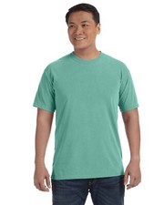 Comfort Colors Unisex 100% USA Cotton Heavyweight T Shirt Stylish T-Shirt - 1717 picture