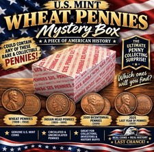 Full Bank Box of US Pennies picture