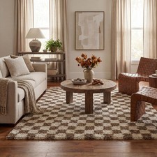 nuLOOM Adelaide Beige Checkered Area Rug 4' x 6' picture