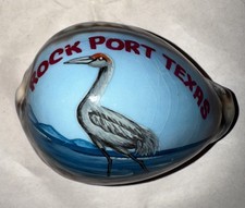 Rockport Texas Seashell  preowned  picture