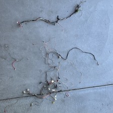 1988 Suzuki VS1400 Intruder Electrical Parts Lot Wiring Harness Relays Coils picture
