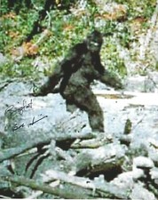 Bob Heironimus BIGFOOT Patterson Gimlin Film Signed REPRINT 8.5 x 11 Photo picture