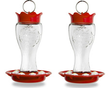 (Pack of 2) Pennington Glass Hummingbird Feeder, 16 Oz Nectar Capacity picture