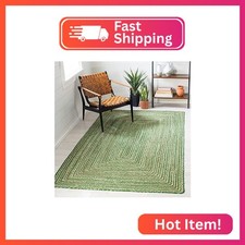 SAFAVIEH Cape Cod Area Rug 3x5, Jute Braided Green & Brown CAP202Y picture