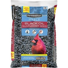 2pack Pennington Select Black Oil Sunflower Seed Wild Bird Dry Feed, 40 lb. Bag picture