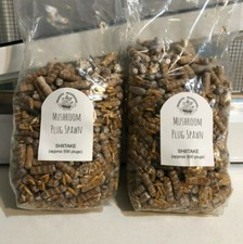 Shiitake Mushroom Plug Spawn 1000X - FREE USA shipping picture