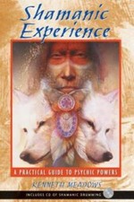 Shamanic Experience: A Practical Guide to Psychic Powers - Paperback - GOOD picture