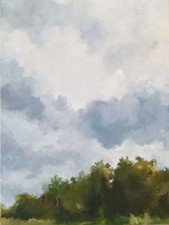 Original Oil Painting Stretched Canvas Unique Modern Artwork Florida Autumn Sky picture