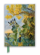 Kew Gardens: Marianne North: Flowers of the Flame-Tree and Yellow and Black Twin picture