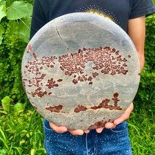 8.73LB  Beautiful Natural Chinese Dendritic Limestone Picture Stone Guohua - Rar picture