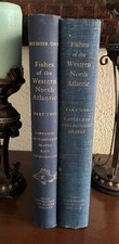 Fishes of the Western North Atlantic 2 Vols. 1 & 2 picture