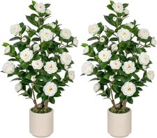 🌸 2 Pack 3FT Artificial Camellia Trees with Pots, Realistic White Faux Flowers picture