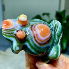 90G Rare Natural Gobi Agate Eye Agate Carving Frog/Crystal PalmStone Madagascar picture