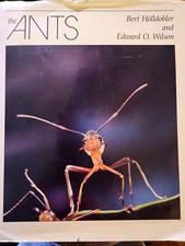 The Ants Hardcover (English) by Bert Hölldobler & Edward O. Wilson Biology picture