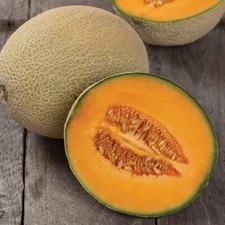 50 Heirloom Hales Best PMR Cantaloupe Seeds - Almost Immune To Powdery Mildew picture